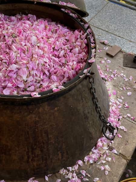 تصویر 2 از گلاب ممتاز با رایحه دلنشین