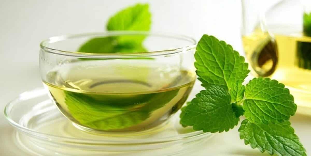 تصویر 2 از عرق نعناع اصل عطر طبیعی  طعم خنک هضم و آرامش معده