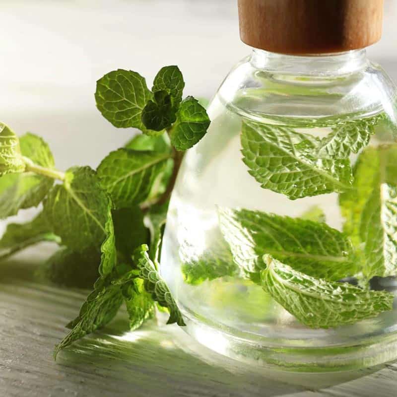 تصویر 1 از عرق نعناع اصل عطر طبیعی  طعم خنک هضم و آرامش معده