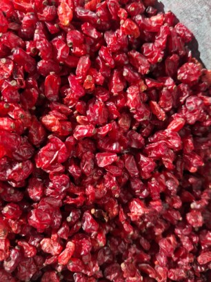 تصویر 1 از زرشک دانه اناری + فروش عمده