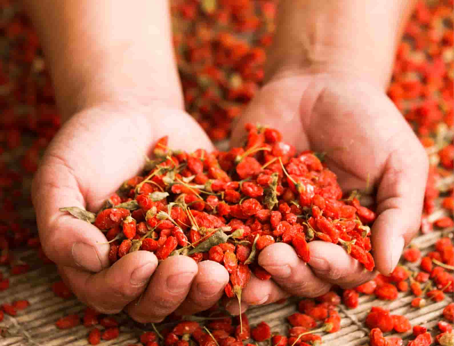 زرشک اصل خشک شده به روش سنتی