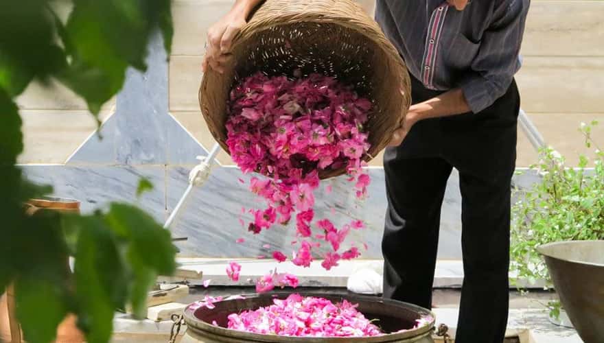 تصویر 2 از گلاب دو آتشه اعلا با عطر بی نظیر