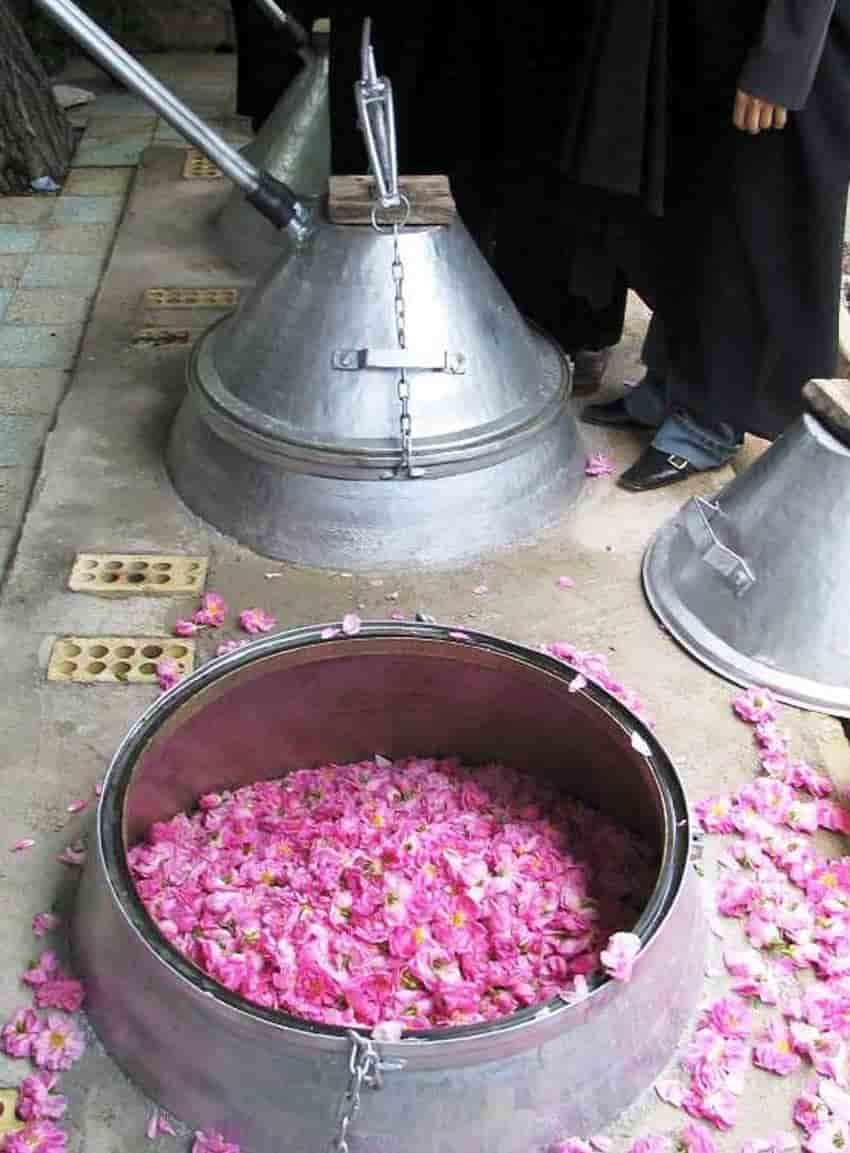 تصویر 1 از گلاب دو آتشه اعلا با عطر بی نظیر