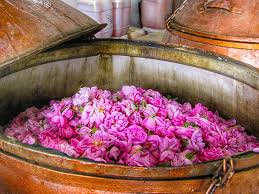 تصویر 2 از گلاب اصل عطری سنتی با کیفیت ممتاز