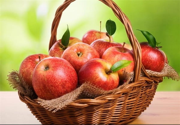 سیب درختی ارومیه درجه یک و ممتاز