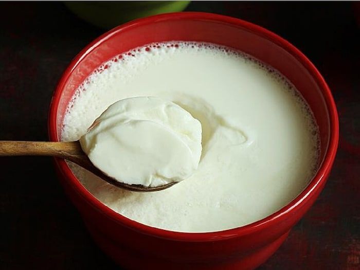 خرید و قیمت پودر استابلایزر ماست سنتی + فروش ویژه