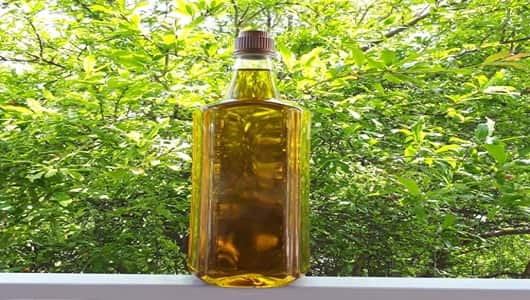تصویر 2 از روغن زیتون سبز با کیفیت ویژه