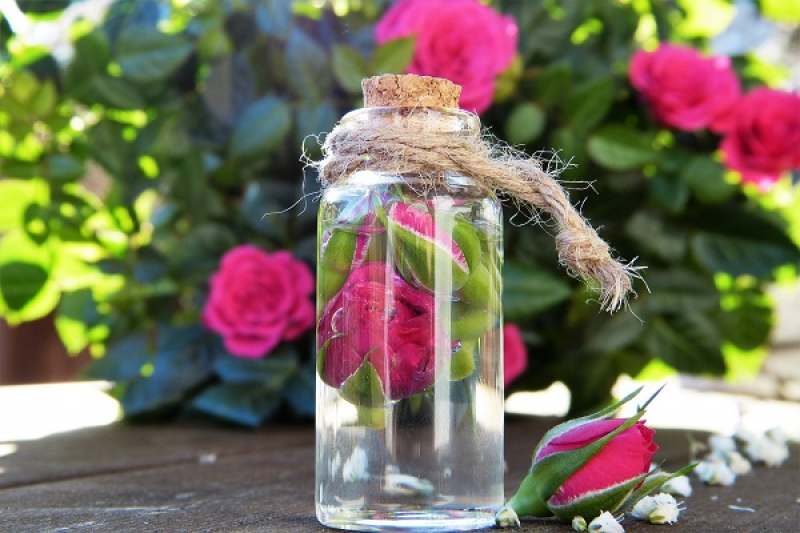 تصویر 2 از گلاب اصل سحرخیز  دارای خاصیت دارایی