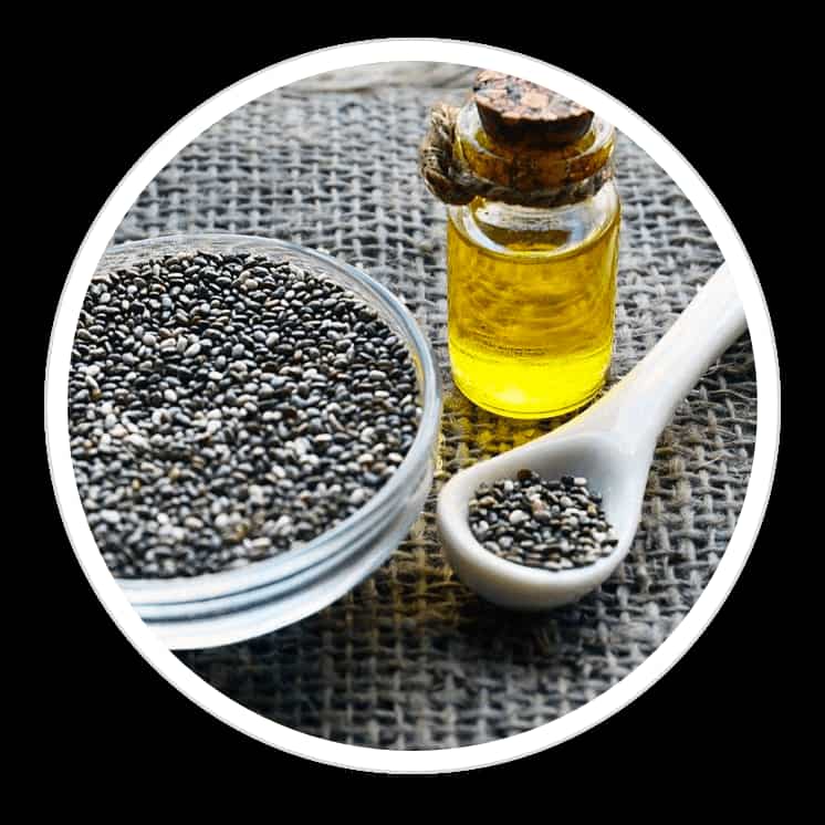 قیمت روغن دانه