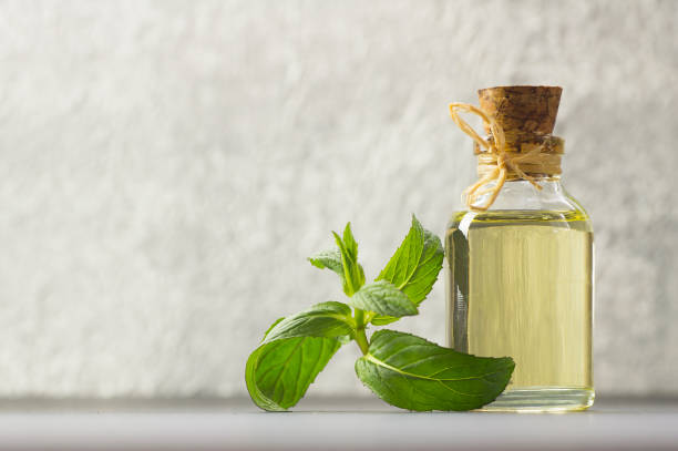 تصویر 2 از عرق نعناع تند تهیه شده از بهترین نعنا