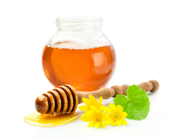 تصویر 2 از عالی ترین عسل گون آویشن + بهترین طعم و خواص