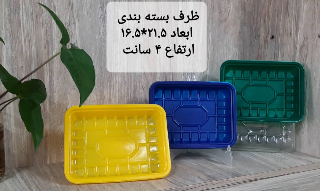 تصویر 2 از فروش عمده ظرف یکبار مصرف گوشت و مواد غذایی + ارزان ترین قیمت