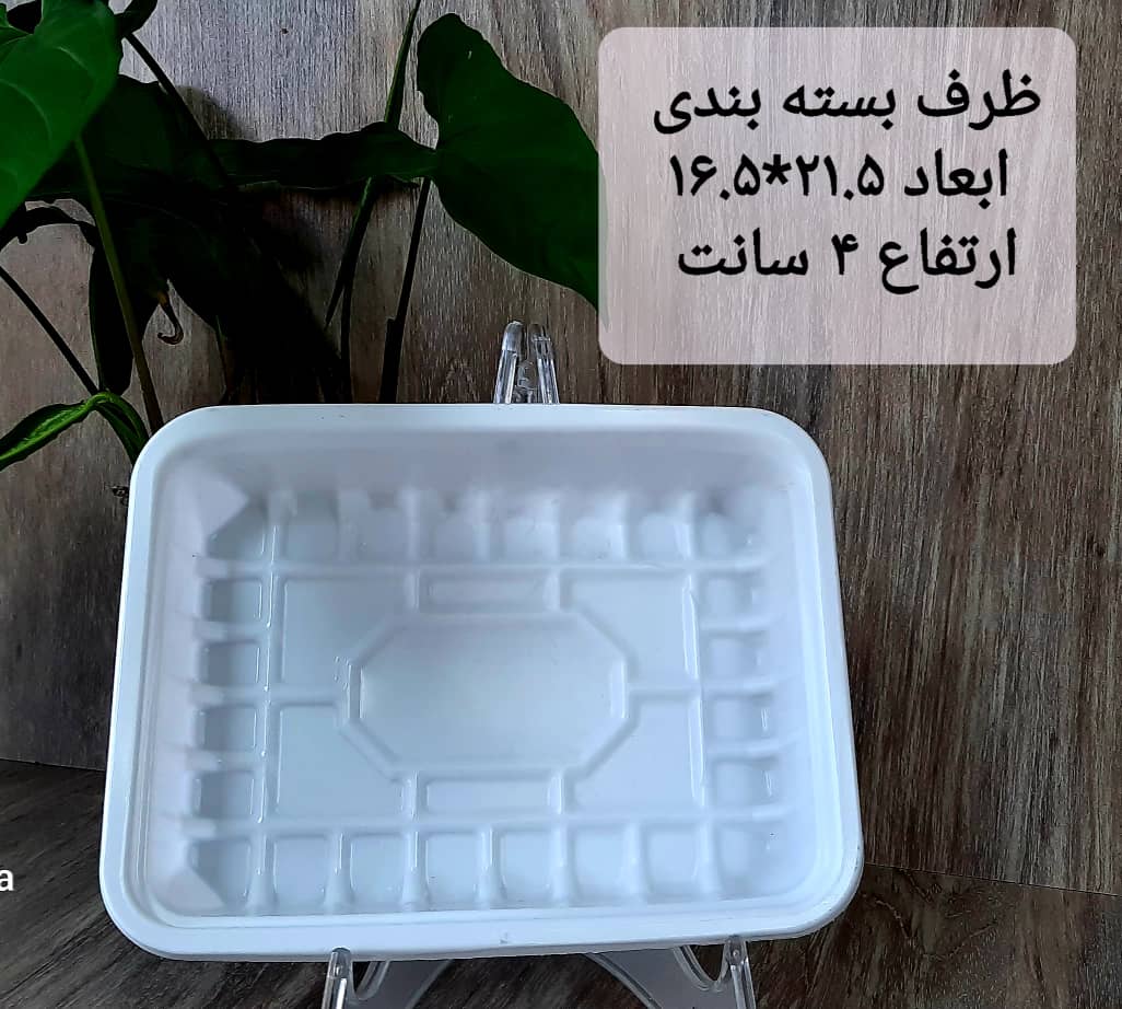 تصویر 1 از فروش عمده ظرف یکبار مصرف گوشت و مواد غذایی + ارزان ترین قیمت