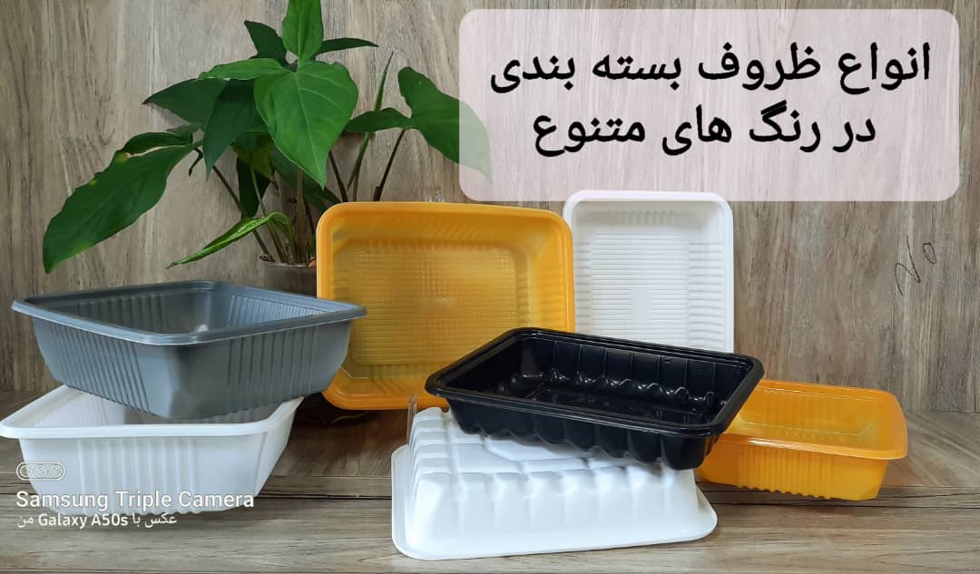 تصویر 3 از فروش عمده ظرف یکبار مصرف گوشت و مواد غذایی + ارزان ترین قیمت