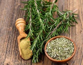 تصویر 4 از فروش و خرید رزماری با کیفیت برتر + برند روناکو