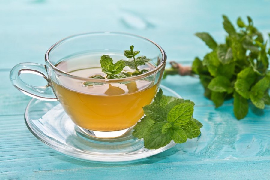 فروش دمنوش نعناع