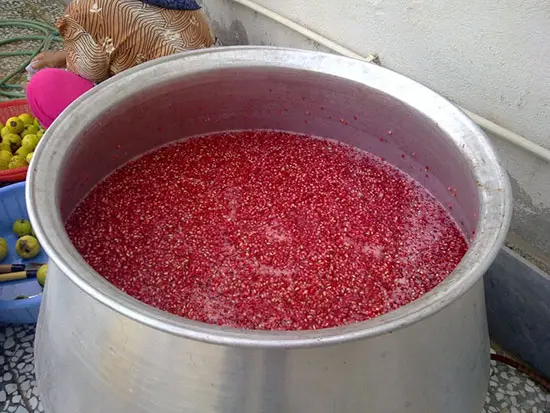 تصویر 5 از رب انار عمده گیلانی خانگی بسته بندی دبه ای