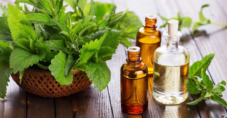 قیمت گیاه بادرنجبویه