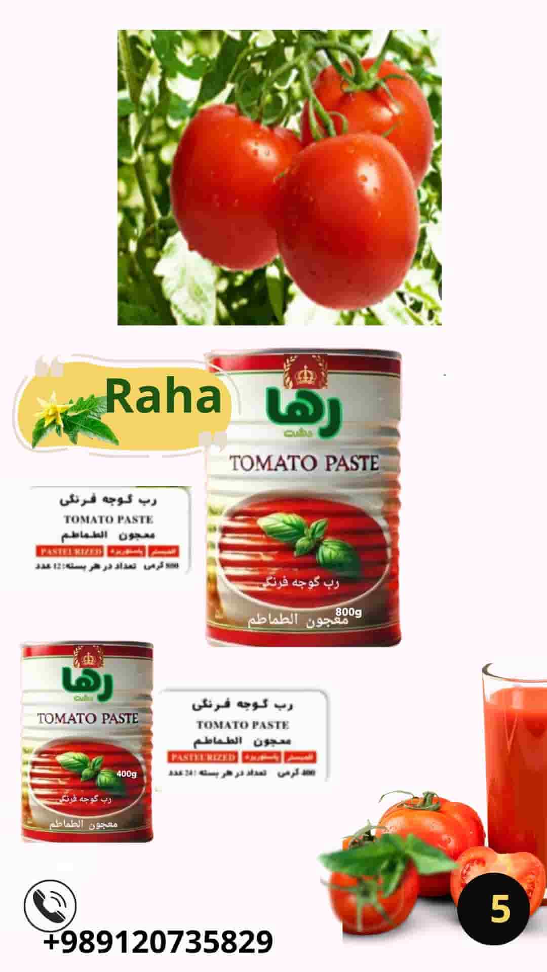 تصویر 3 از رب گوجه فرنگی خارجی رها دشت یک کیلویی