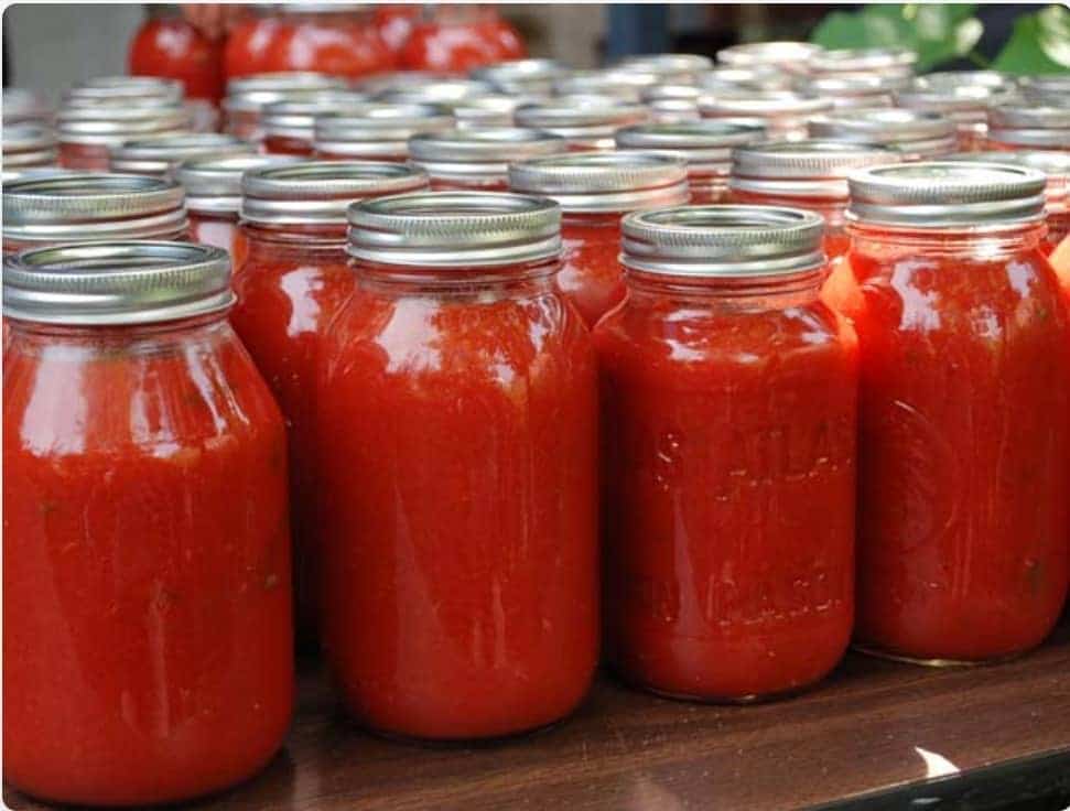 رب گوجه فرنگی 5 کیلویی رها دشت ارگانیک