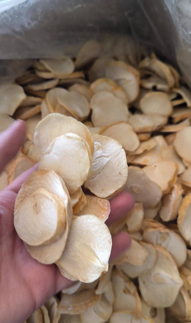 تصویر 1 از موسیر خشک کوثر