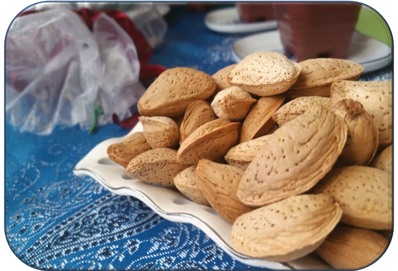 تصویر 4 از بادام سنگی پوست سخت ممتاز و اعلا