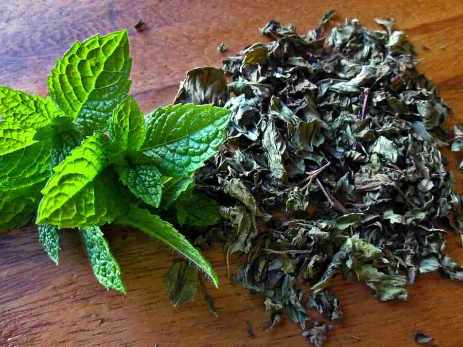 تصویر 4 از نعنا خشک محلی تازه و ارگانیک از باغات کوهستانی