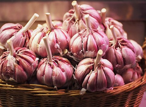 تصویر 2 از سیر همدان بنفش با رنگ بنفش طبیعی و طعمی عالی