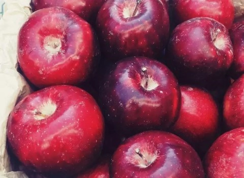 تصویر 5 از سیب قرمز تازه سمیرم درجه یک درشت با طعم شیرین