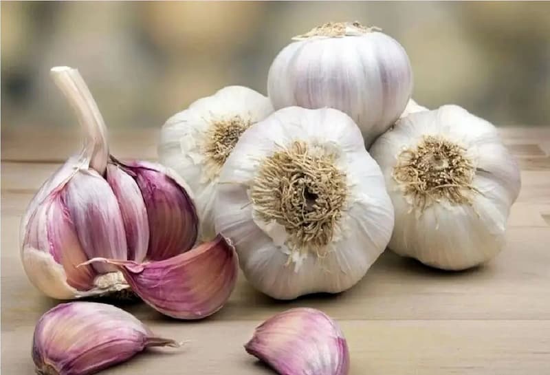 تصویر 3 از سیر اصفهان کوچک تازه عطری شیرین و تندی ملایم