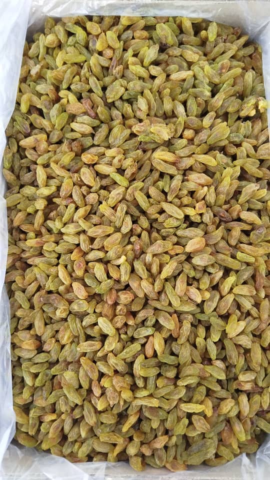 خرید کشمش عمده