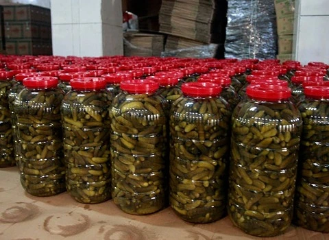 خیارشور خرید عمده