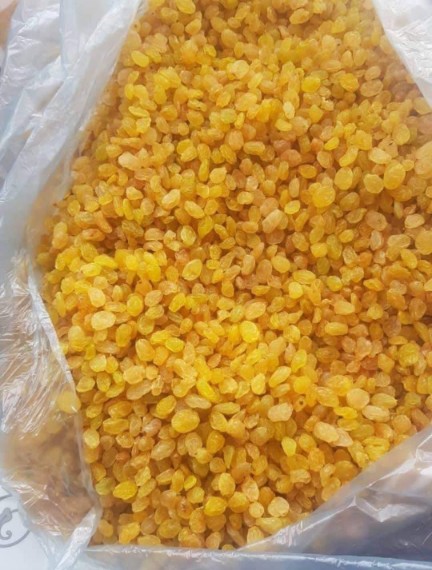 تصویر 1 از کشمش گلدن ممتاز + قيمت به صرفه