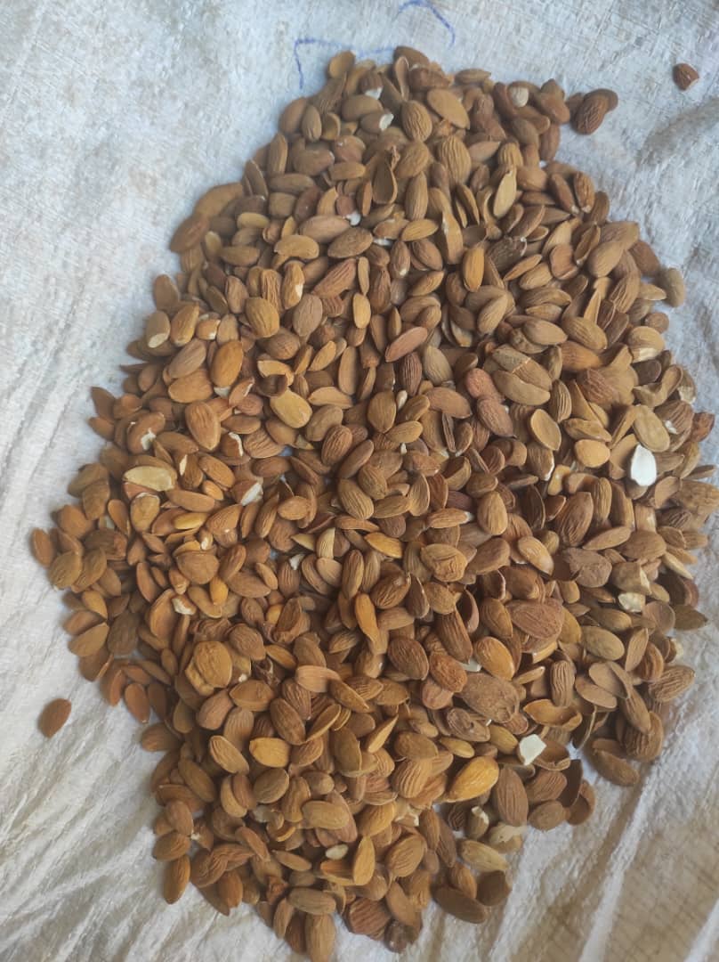 تصویر 1 از مغز بادام ایرانی + قيمت باورنکردنی