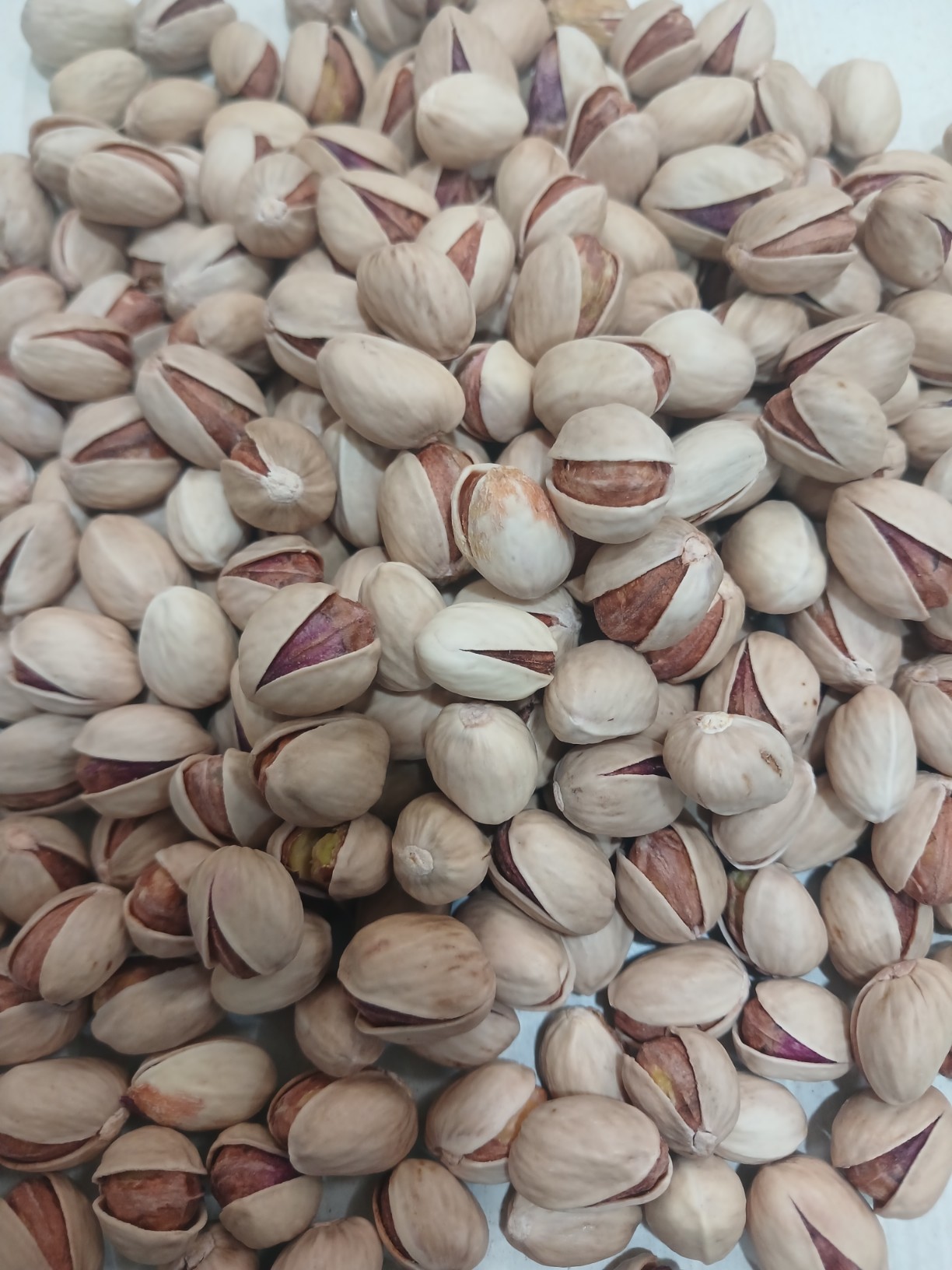 تصویر 1 از پسته فندوقی + قيمت روز