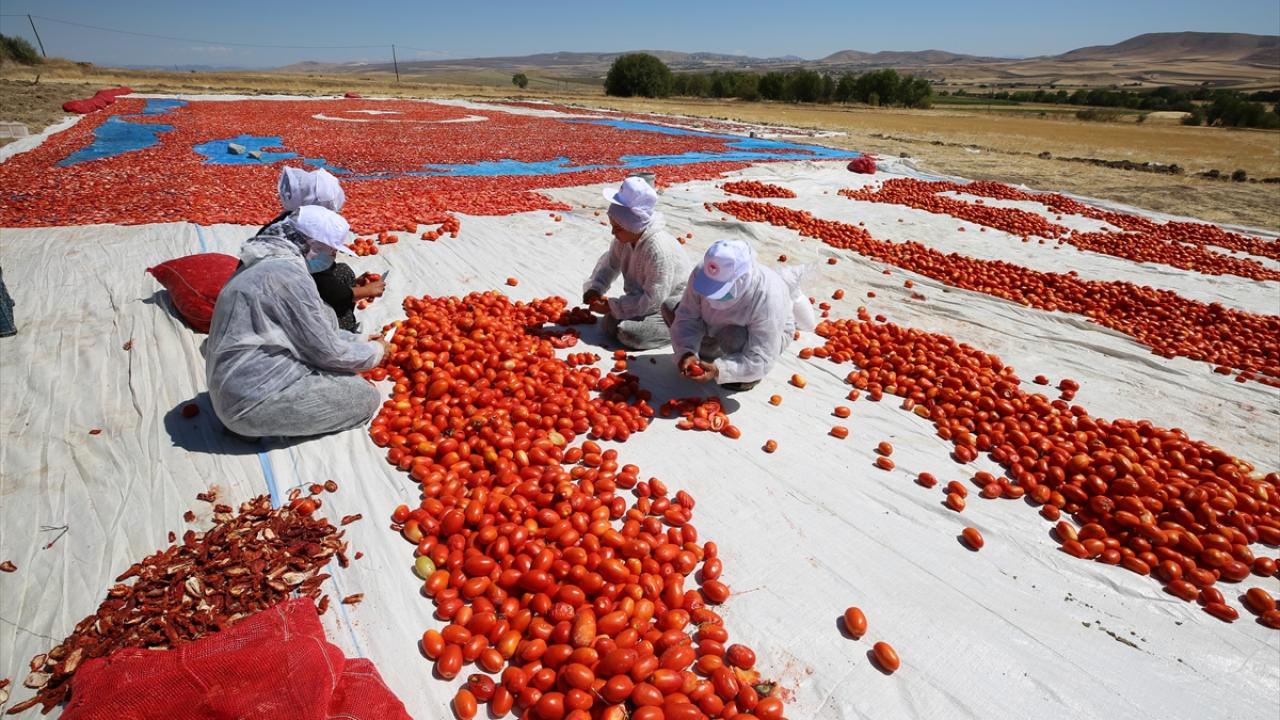 تصویر 5 از رب گوجه ۳ کیلویی ستاره دخت با ترکیب طبیعی و بدون نگهدارنده