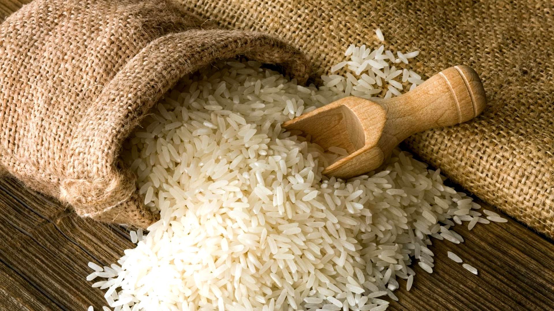 تصویر 2 از برنج هاشمی تازه کوب برای پخش عمده