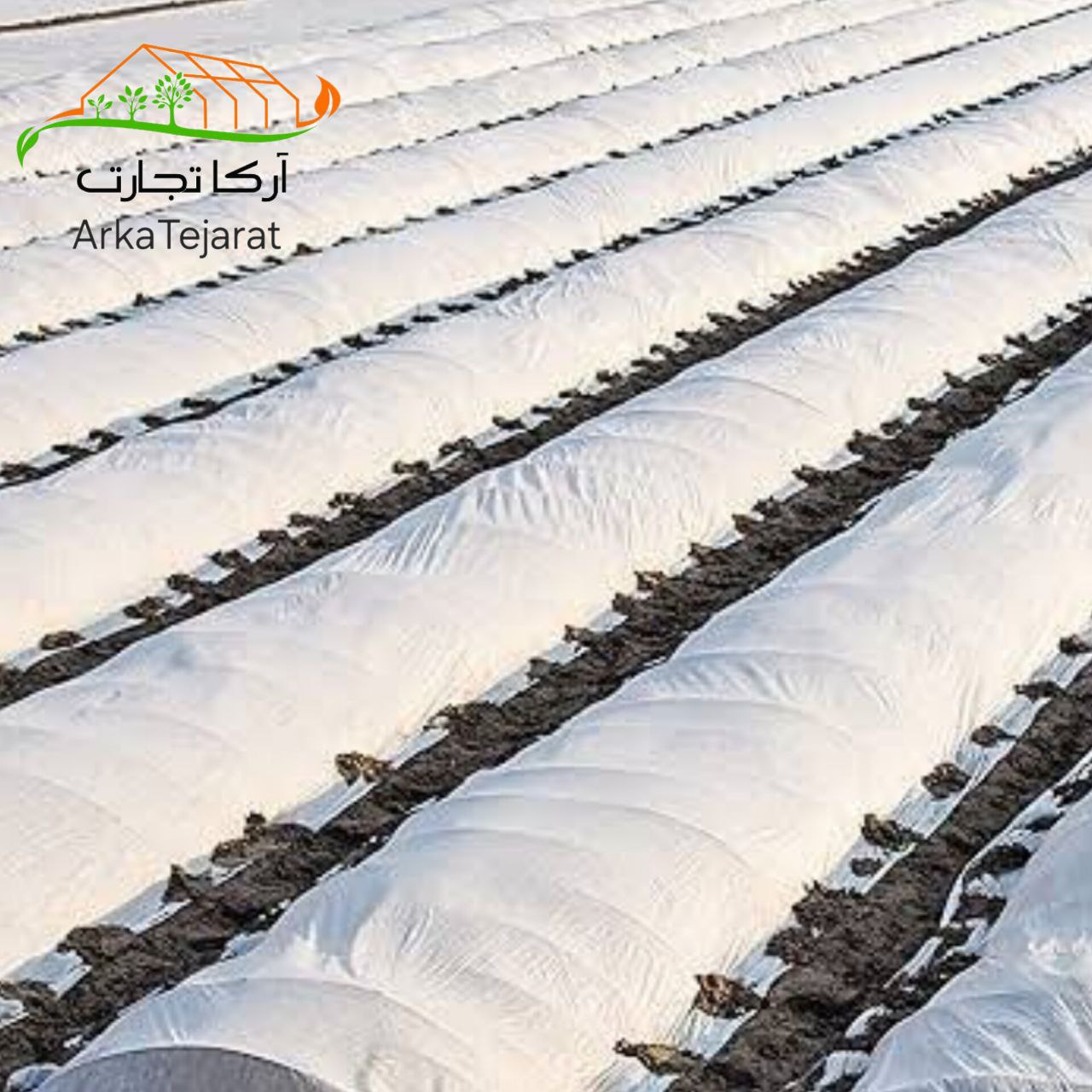 تصویر 2 از خرید و قیمت کاور ضد سرما گوجه فرنگی بی واسطه و ارزان + آرکا تجارت