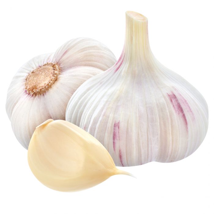 پودر سیر اصل مناسب آشپزی روزانه خانگی و انواع غذا