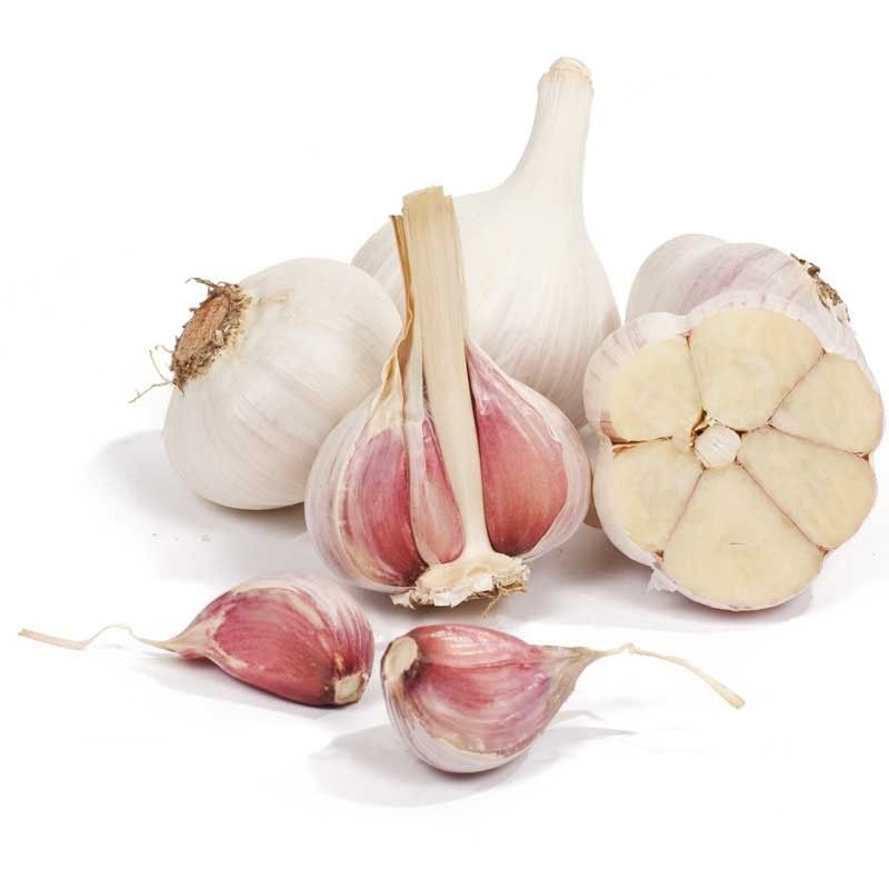 پودر سیر اصل خوش‌ عطر مناسب انواع غذاها