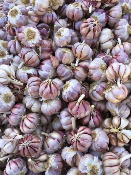 تصویر 3 از پودر سیر تازه صادراتی برای طعم‌ دهی سریع و آسان انواع غذا