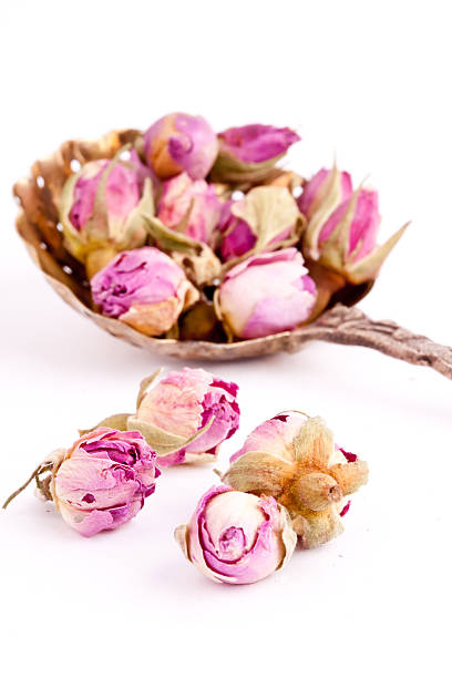 تصویر 2 از بهترین غنچه گل محمدی تازه ممتاز و ارزان