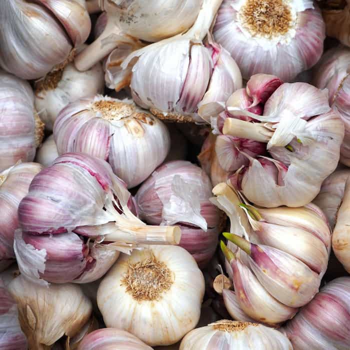 پودر سیر سفید مرغوب با عطر ماندگار و طعم تازه و عالی