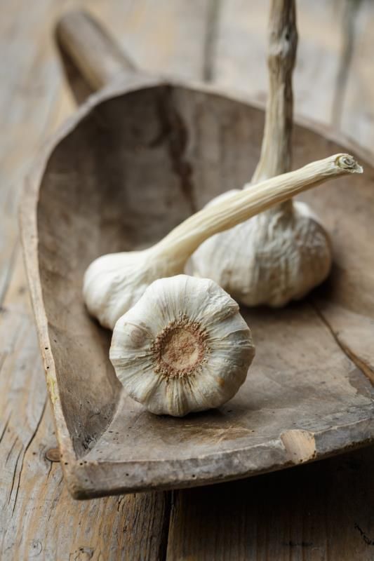 تصویر 1 از سیر پودری اعلا با طعم فوق العاده خوشمزه مناسب مصارف خانگی و صنعتی