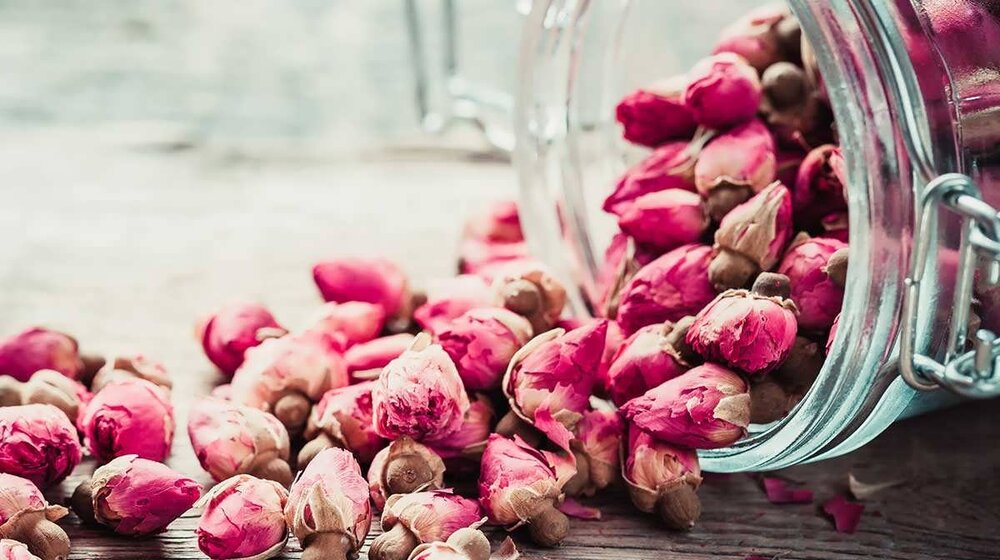 غنچه گل محمدی خشک عطر‌ دار طبیعی
