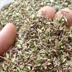 تصویر 2 از آویشن دنایی خوش‌ بو و خوش‌ طعم با کیفیت عالی