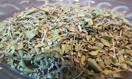 تصویر 2 از آویشن شیرازی خشک خوش عطر مناسب دم‌ نوش‌ های گیاهی