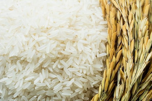 برنج عنبربو طلایی خوزستان + کیفیت درجه یک
