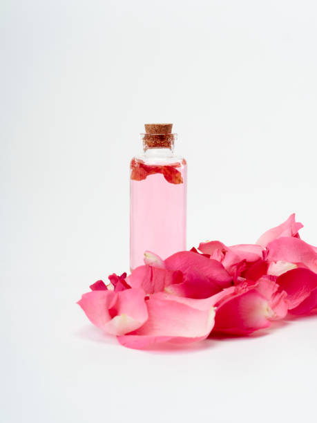 تصویر 4 از گلاب خوش عطر با رایحه طبیعی گلبرگ های تازه