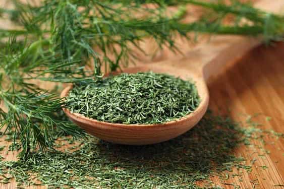 سبزی خشک ترخون معطر مناسب آشپزی و طعم ‌دهی حرفه ‌ای
